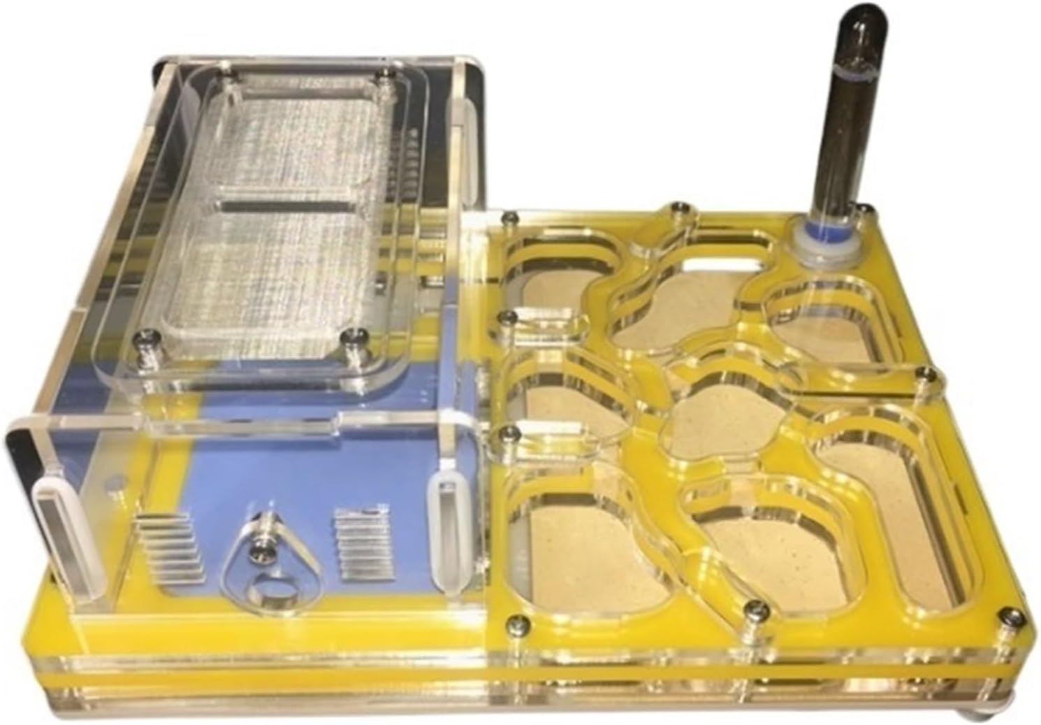 アクリル製アリ飼育キット 自然な岩レイアウト アクリル製アリ飼育